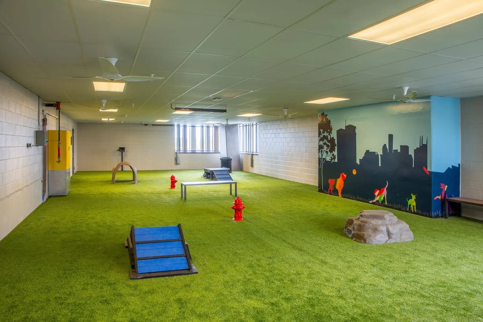 amenities-petarea