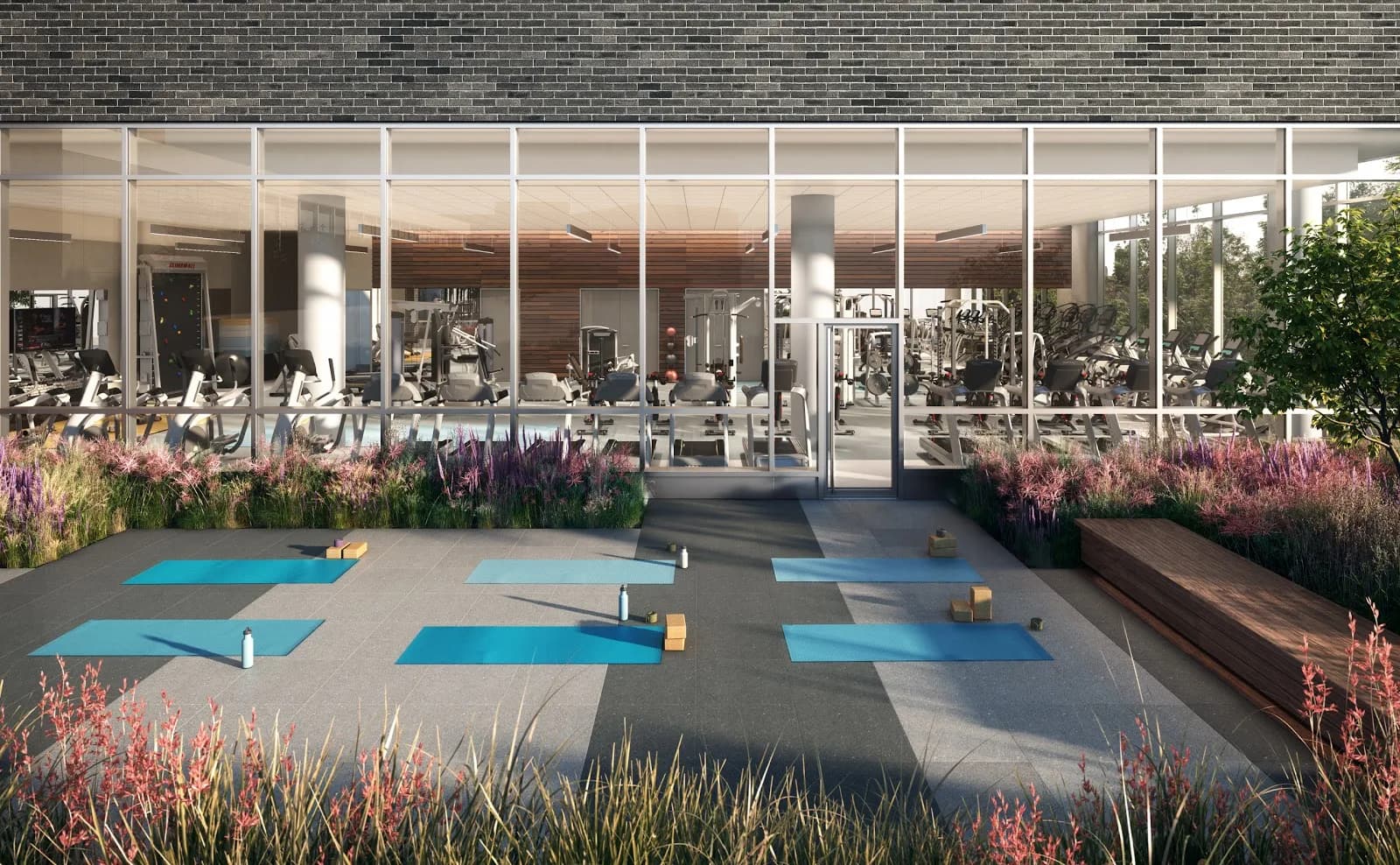 amenities-gym