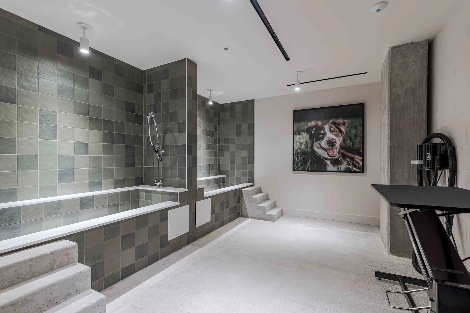 amenities-petspa