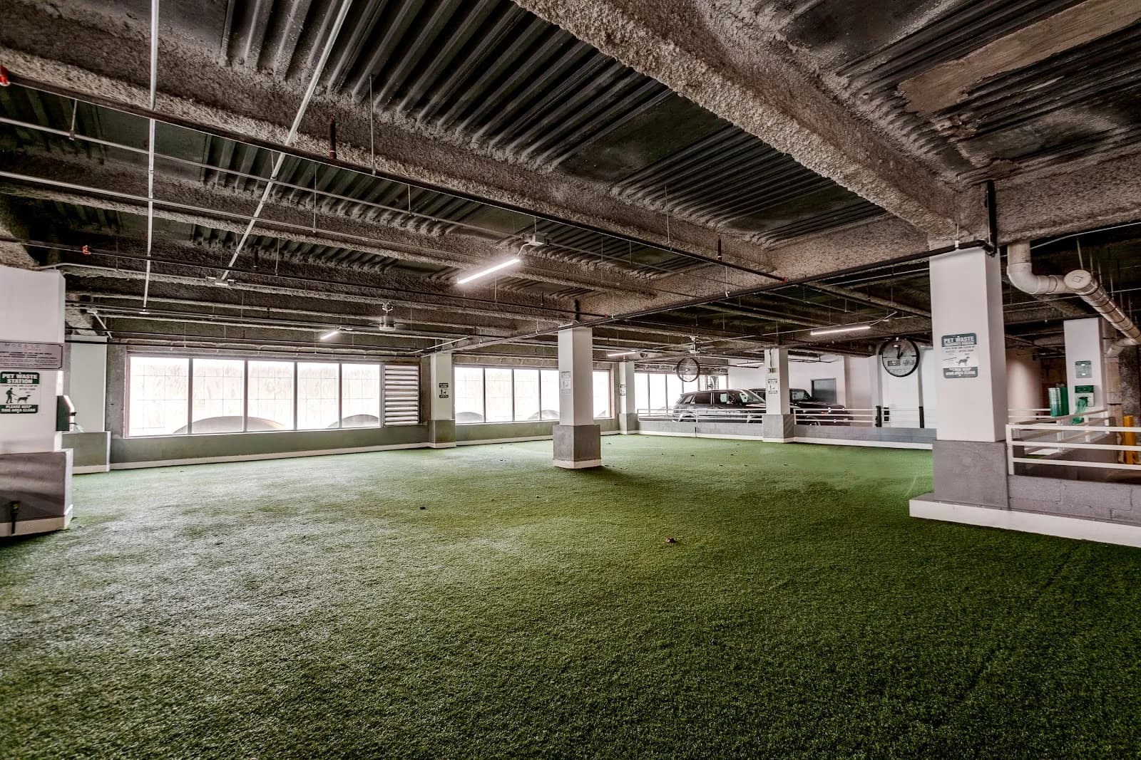 amenities-dogrun