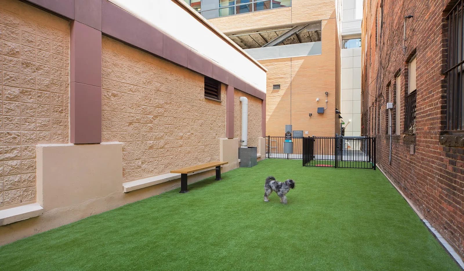 amenities-dogrun