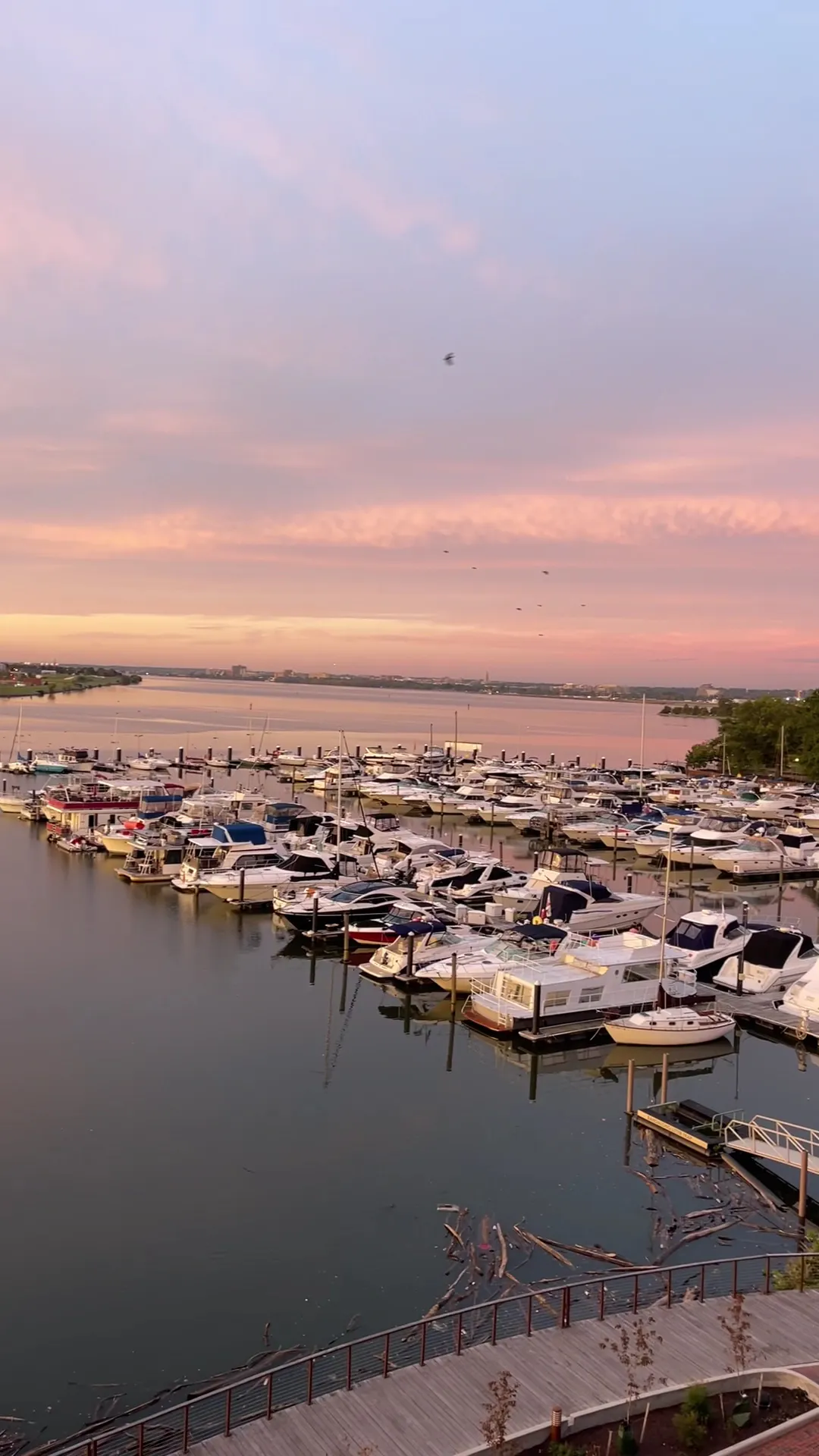 exterior-marinaview