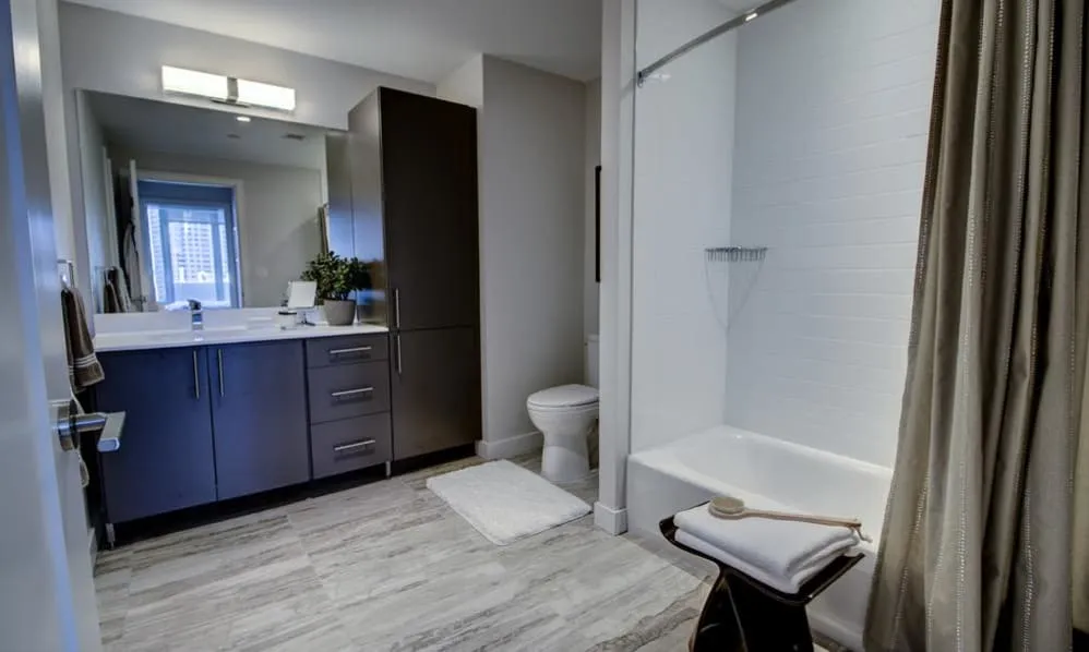 bathroom-tubshower
