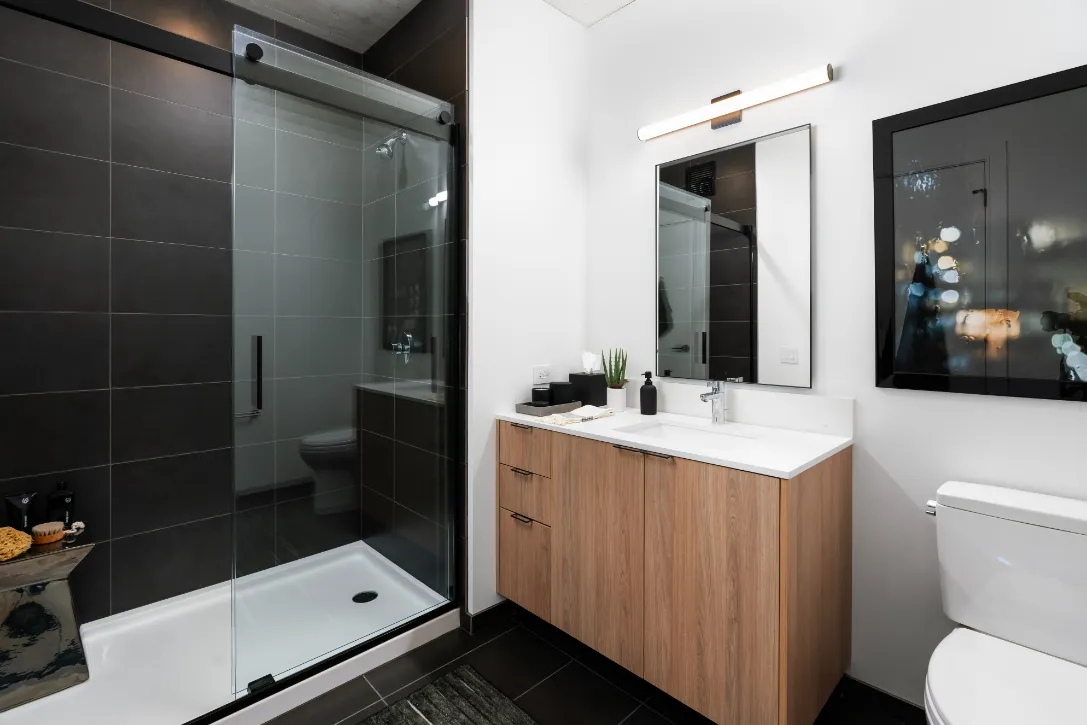 bathroom-showervanity