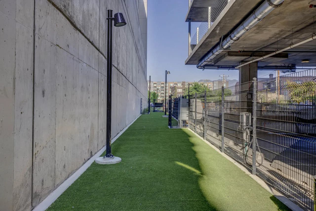 amenities-dogrun