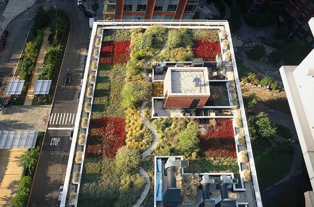 amenities-rooftopgarden