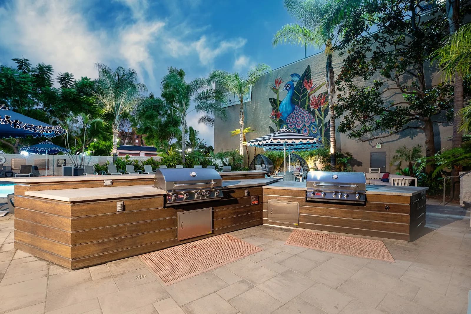 amenities-bbqgrills
