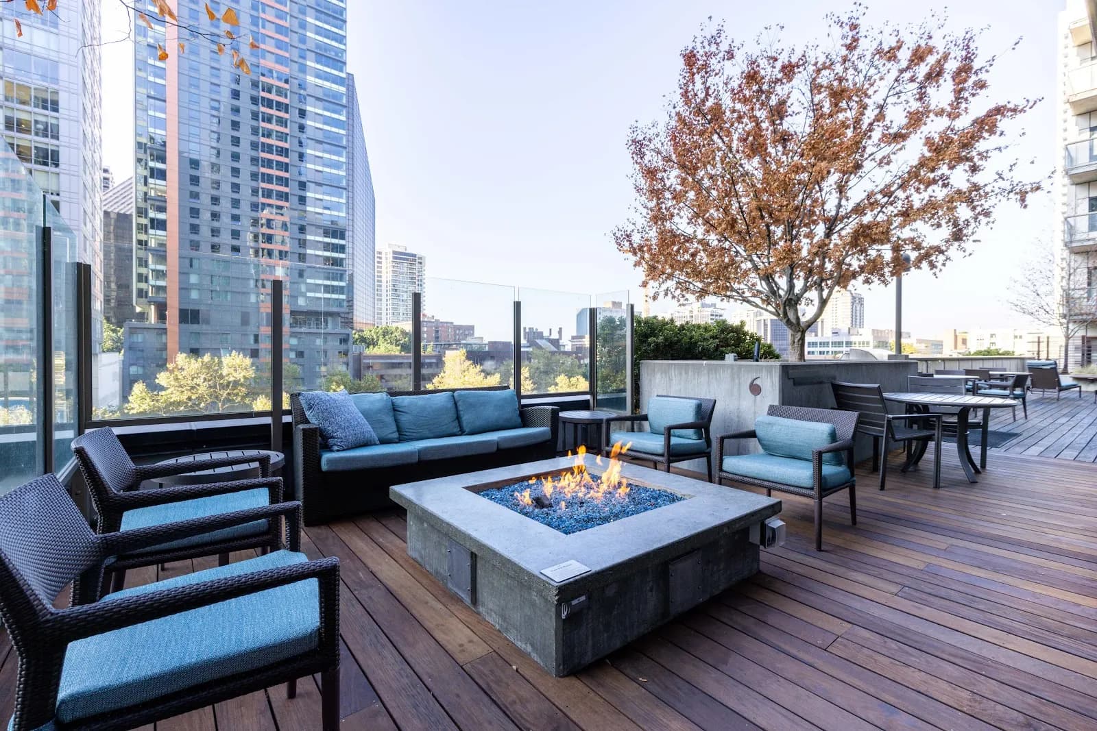 amenities-rooffirepit