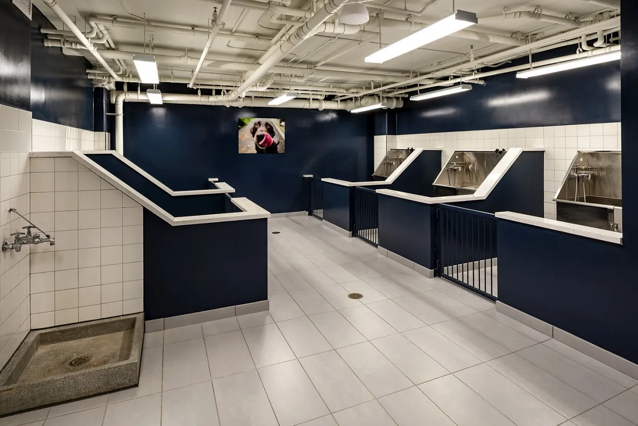 amenities-petspa