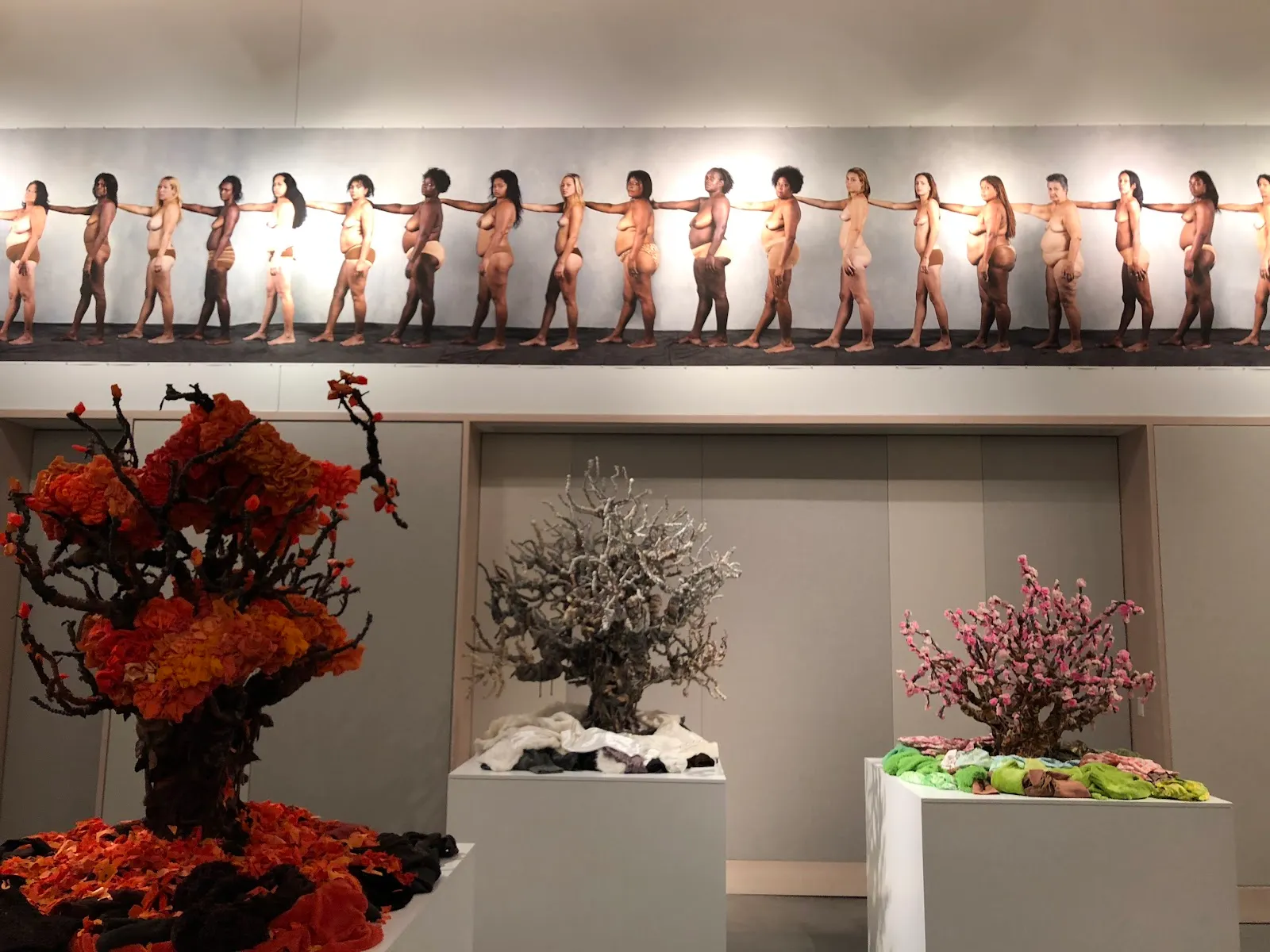 interior-gallery-4