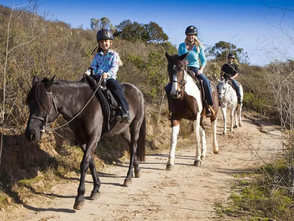 amenities-horsebackriding