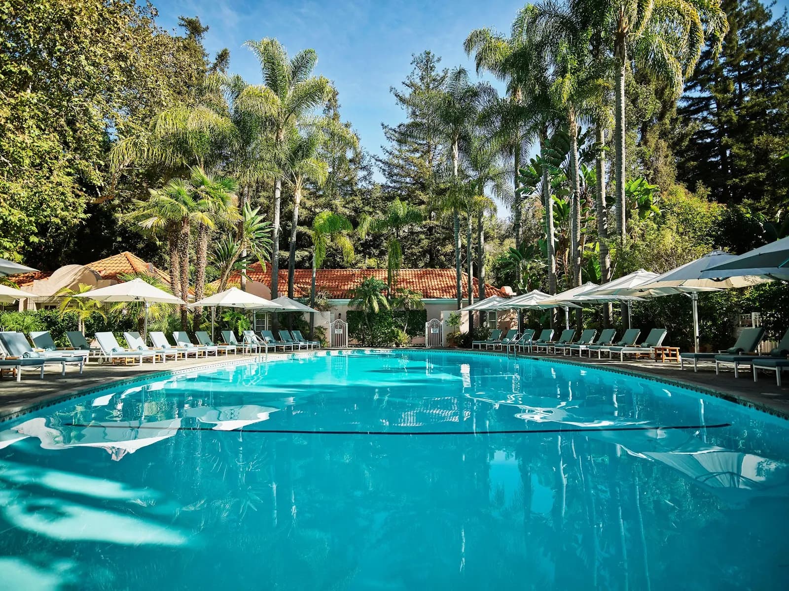 amenities-pool