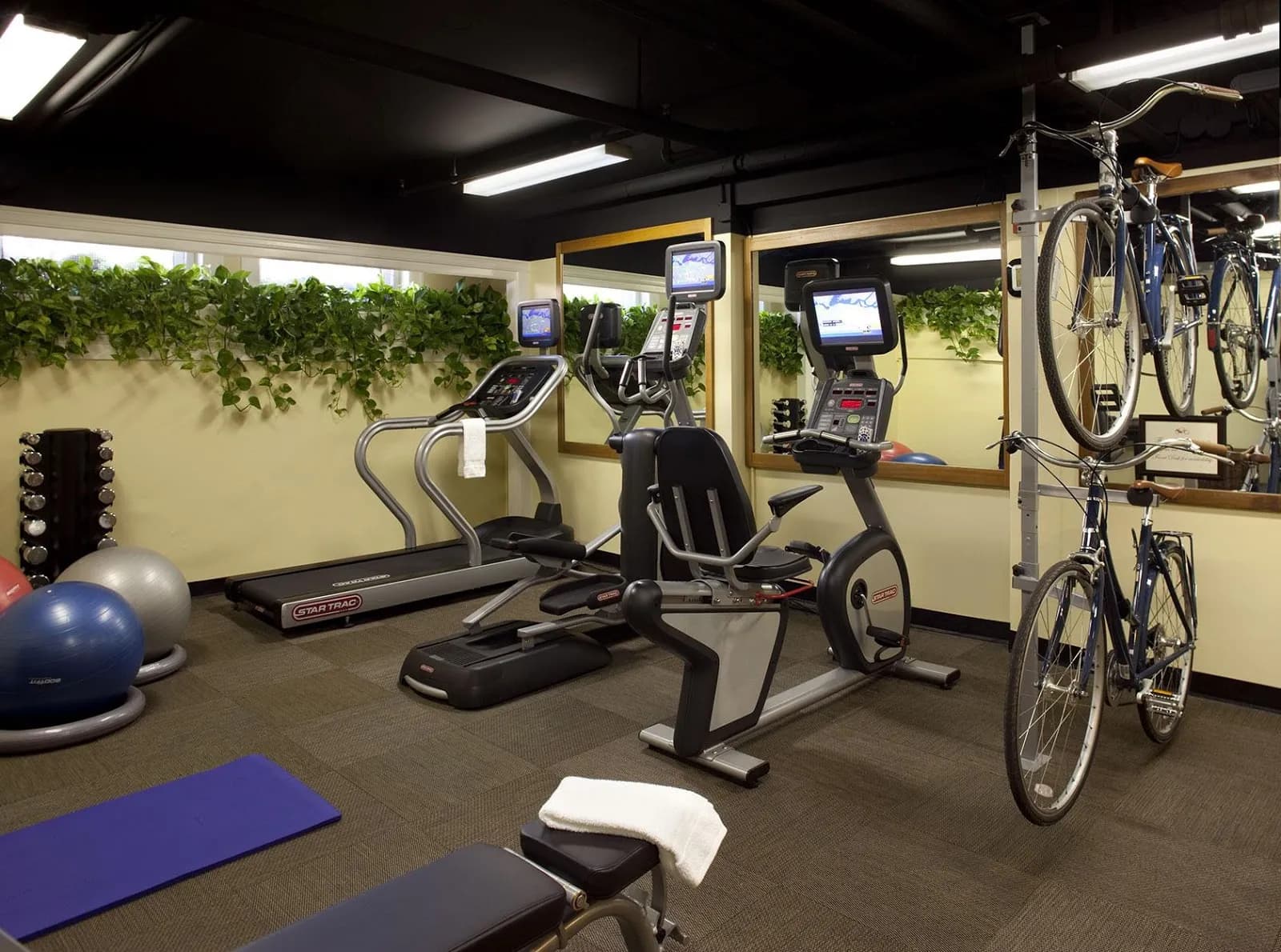 amenities-gym