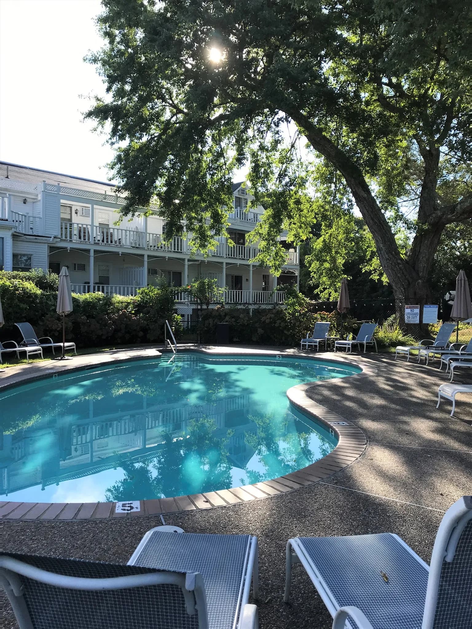 amenities-pool