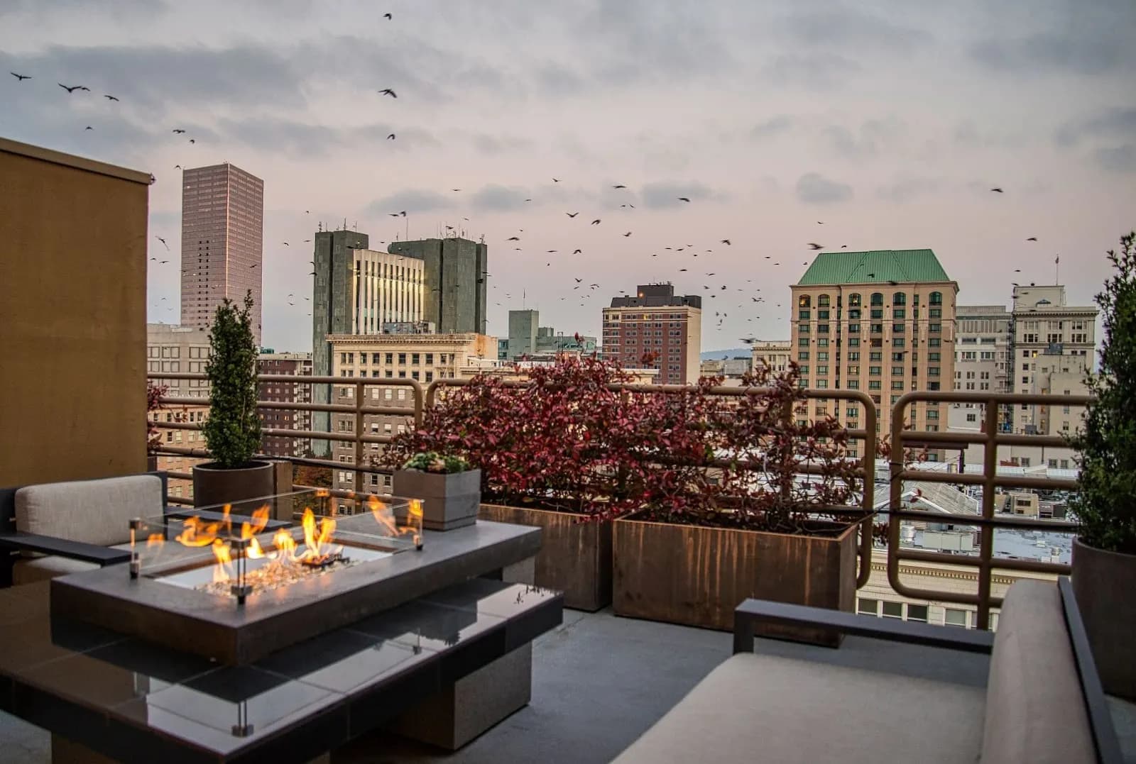 amenities-rooftop