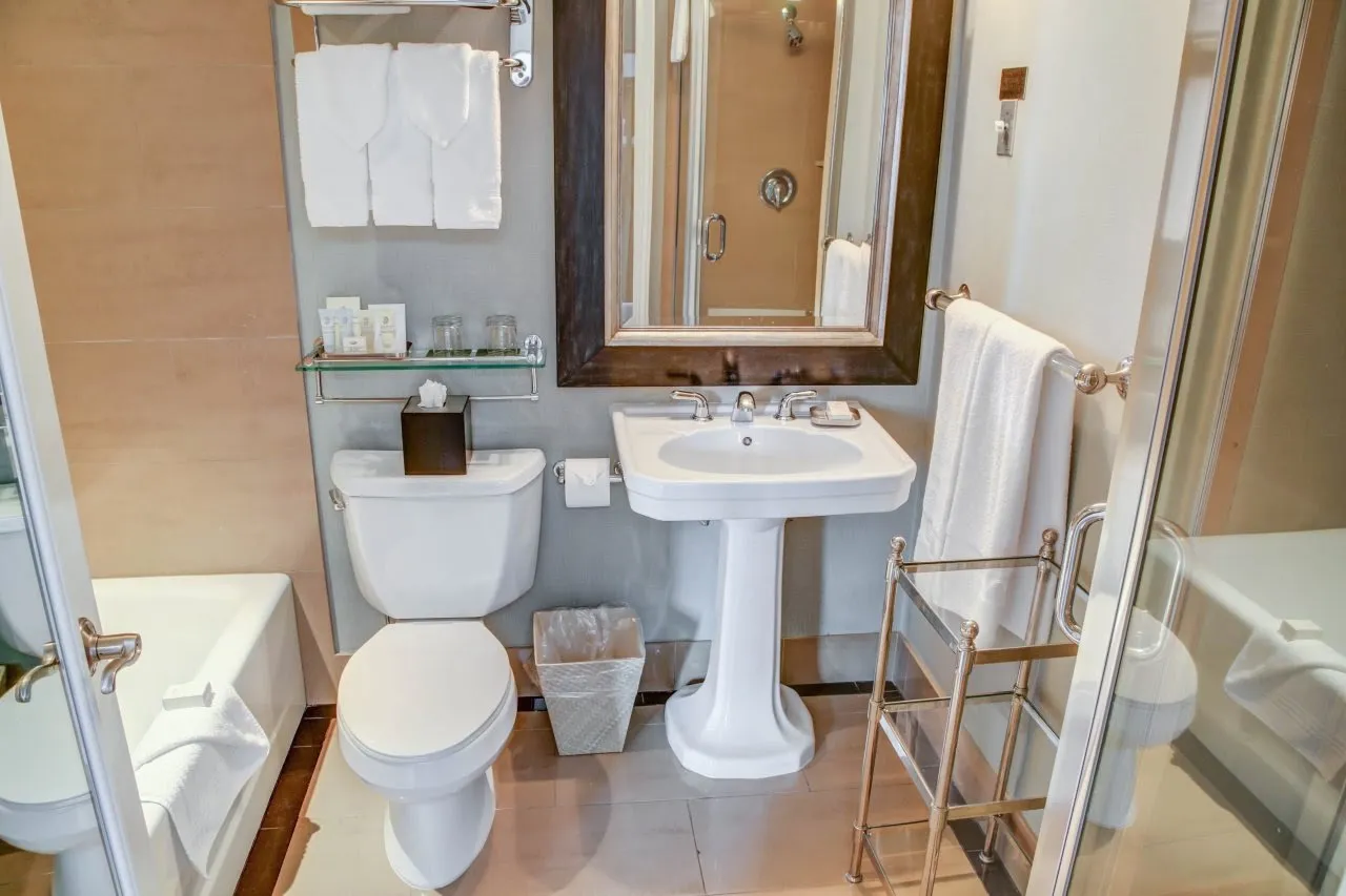 bathroom-toilet