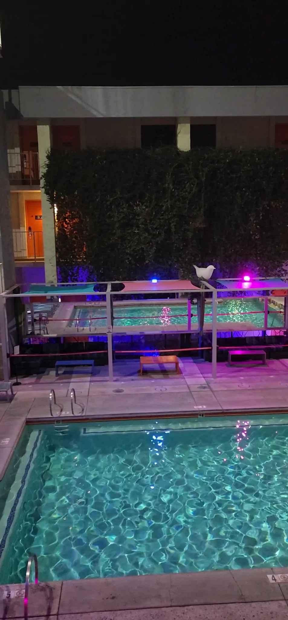 amenities-pool