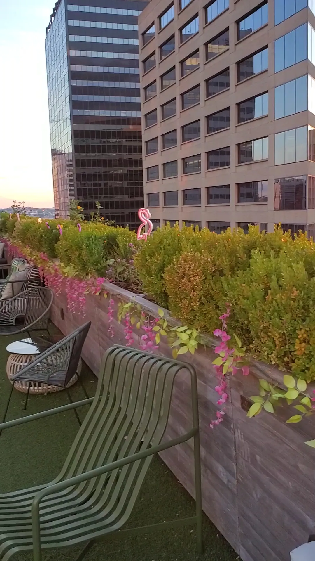 amenities-rooftop-2