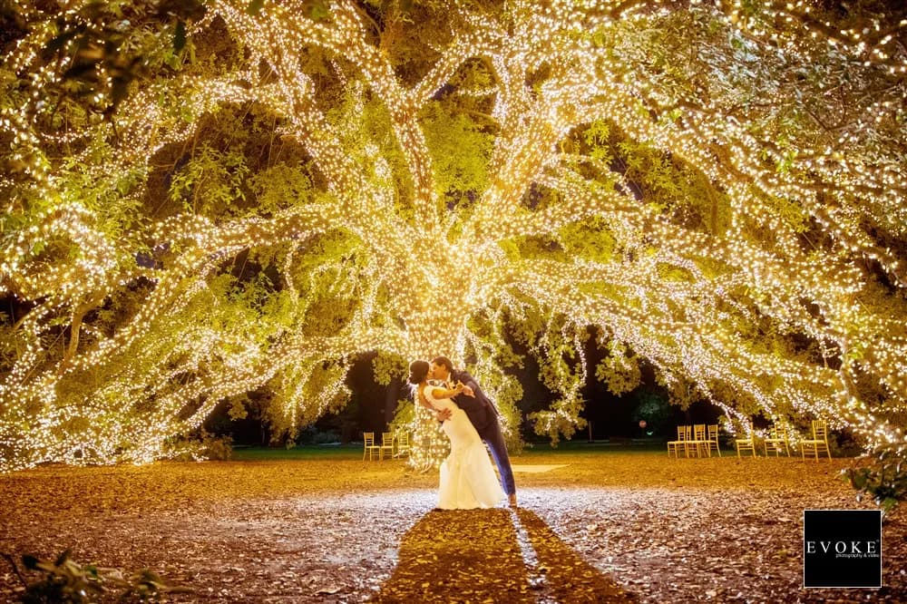 other-wedding