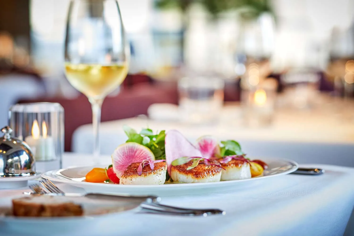 food-scallops