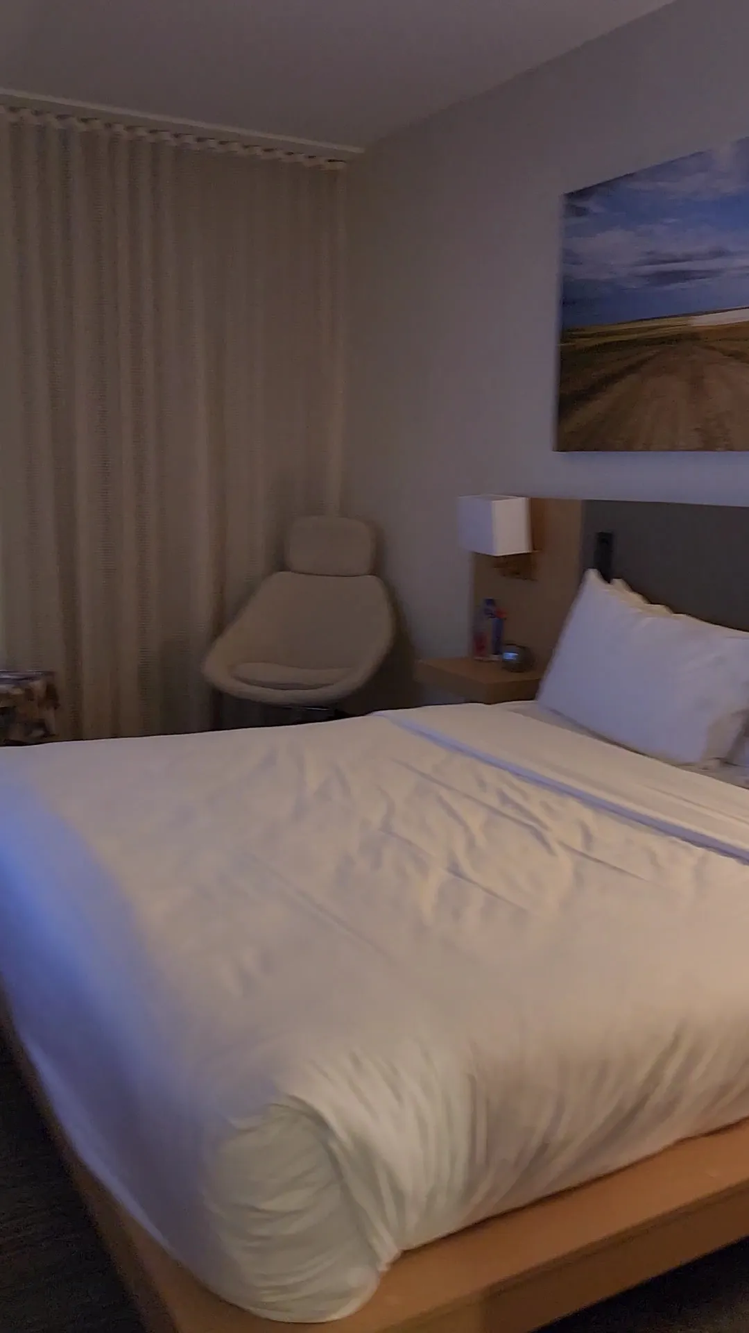 bedroom-kingbed-2
