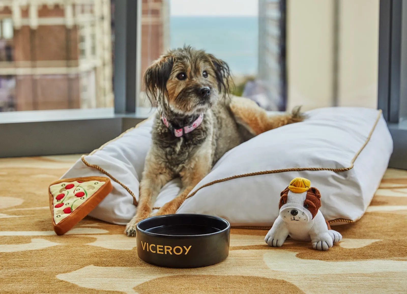 other-petfriendly